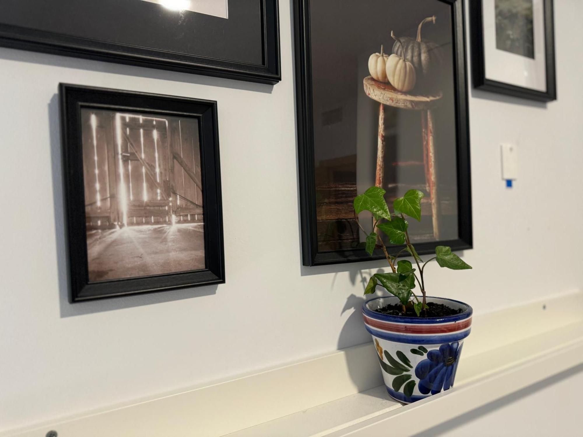 Alex Bed & Breakfast - Your Home Away Including Breakfast - In A Real Home Fuengirola Εξωτερικό φωτογραφία